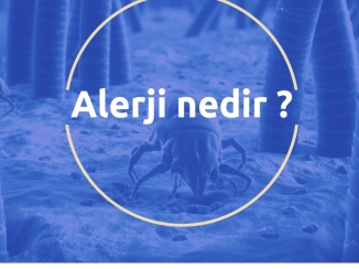 What is allergy?